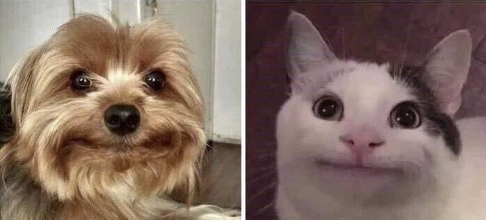 SparklingGreenT's tweet photo. Romeo and Kira for 10 solid minutes
#BachelorInParadise https://t.co/9x7vERzF01
