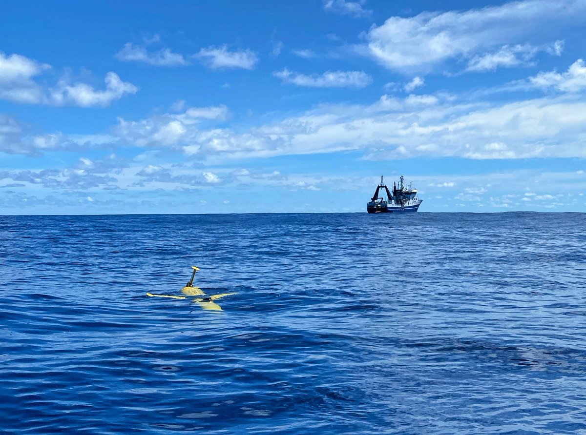 Another #ScienceJob #OceanJob 

Ocean fieldwork forever? Yippee 

Permanent position in my Ocean Deployments team ⁦<a href="/niwa_nz/">NIWA</a>⁩
We’re looking for someone to work with our instruments everything from ADCPs, gliders, wire walkers, wave buoys, CTDs, PAMs

careers.sciencenewzealand.org/jobdetails/aji…