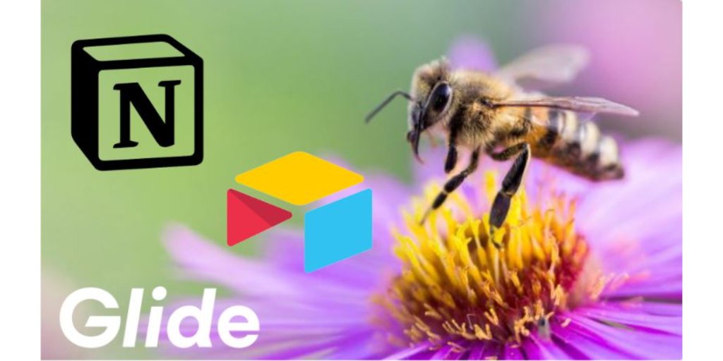 🦟 Et voici un exemple concret d'une réalisation NoCode For Good : beefree-app.fr, réalisée en 48h à Lorient, lors du hackathon NoCode Solidaire de Lorient : youtube.com/watch?v=RLd-sk…

L'équipe a mobilisé Notion, Airtable, Softr, Glide pour sauver les abeilles ! ✨