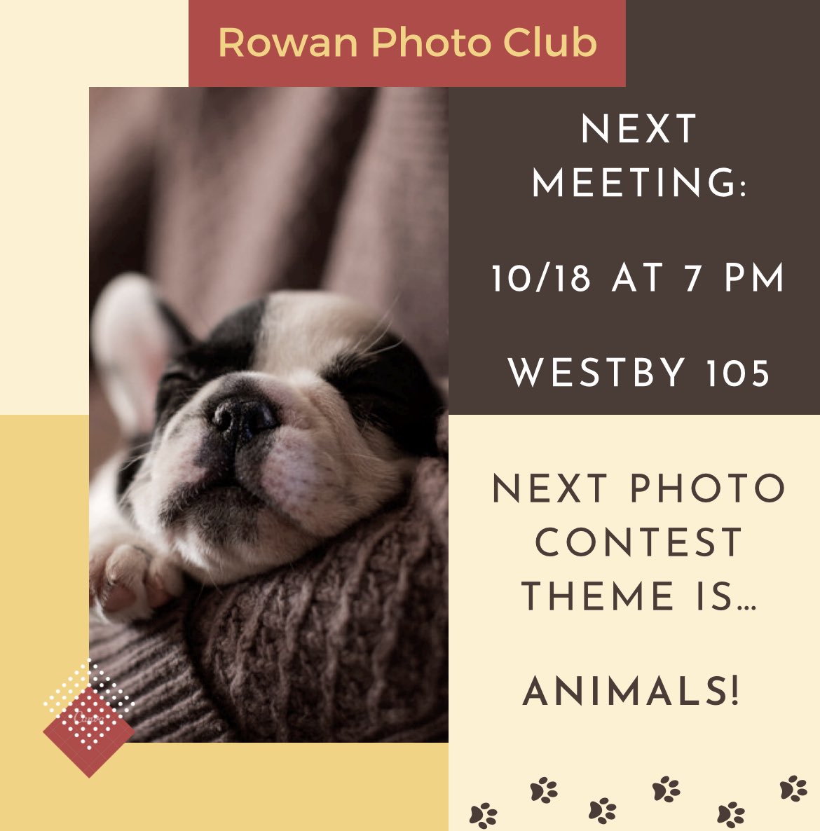 Our next photo contest theme is: ANIMALS!!! Come out to our next meeting on 10/18, and bring questions as there will be a tutorial on cameras and photos! 📸 #rowanuniversity #rowanphotoclub