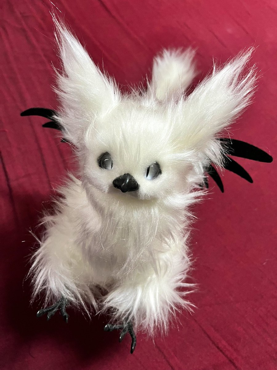 game_etc_aaa's tweet photo. #BAKDOLL(BAKギャラリー #minne https://t.co/5po146VasI)さんより、セミオーダーのグリフォンをお迎えしました!
真っ白可愛い… https://t.co/H4yo3e5nyJ