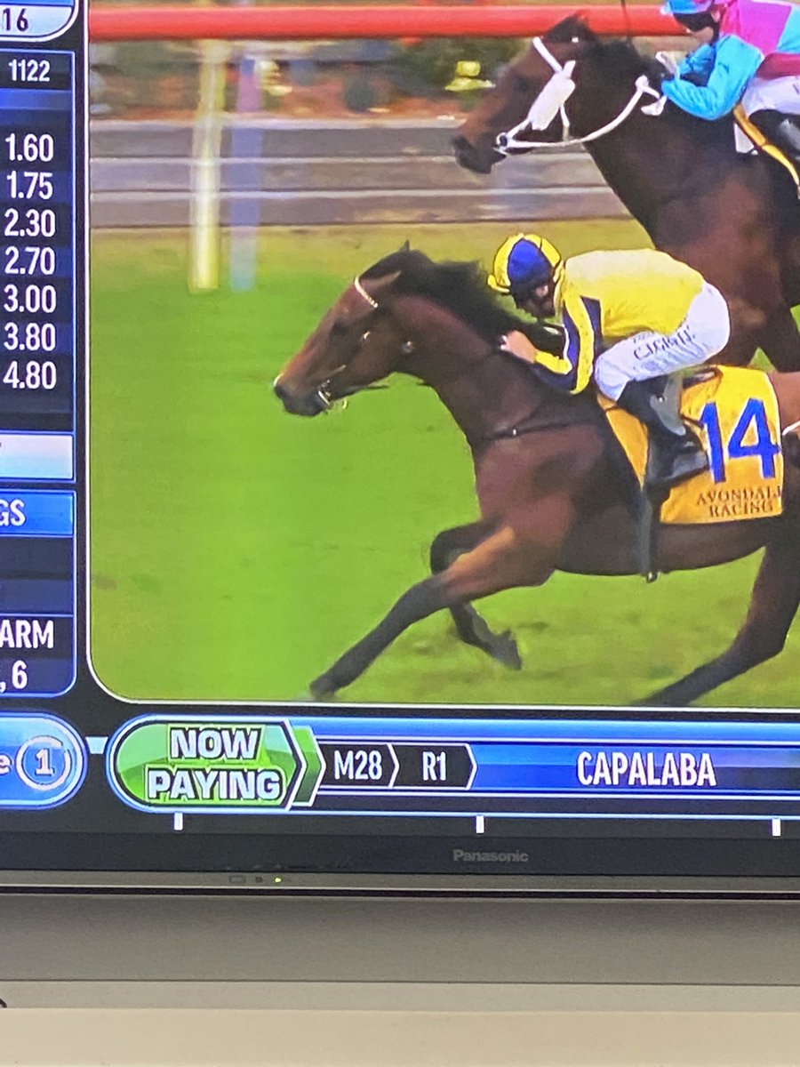 EmilyJRF's tweet image. Boom! That a girl Queenie!!! #VadamosQueen 
Congratulations Team! Winner Winner!! 

@WexfordStables