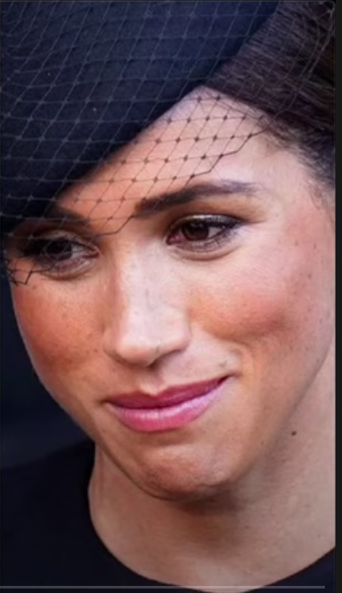 SophieCaligirl's tweet photo. @crustilye @RestDollfaceJMT King Charles must remove their Royal Titles now! The BRF must stay out of AMERICAN politics! The DDOS have no business accepting any 'award' at this liberal elite 'schmooze-fest' of RFK Human Rights! @FoxNews @PageSix @AP @DailyMailUK @SkyNews
@mrpford @megynkelly https://t.co/9wtNoQXSPA
