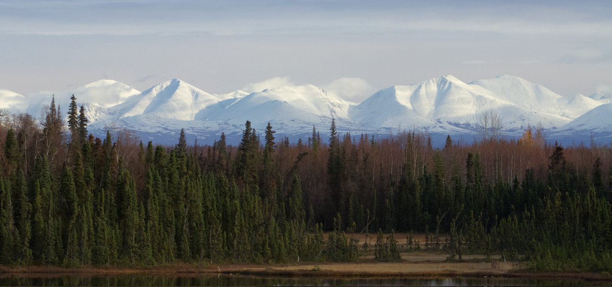teknofire's tweet photo. Winter is coming! https://t.co/OW7mi0EEkc