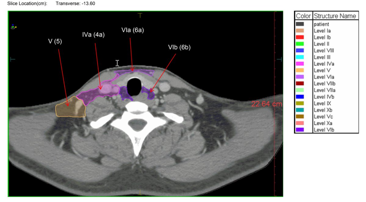 Nauman Malik (نعمان) tweet media