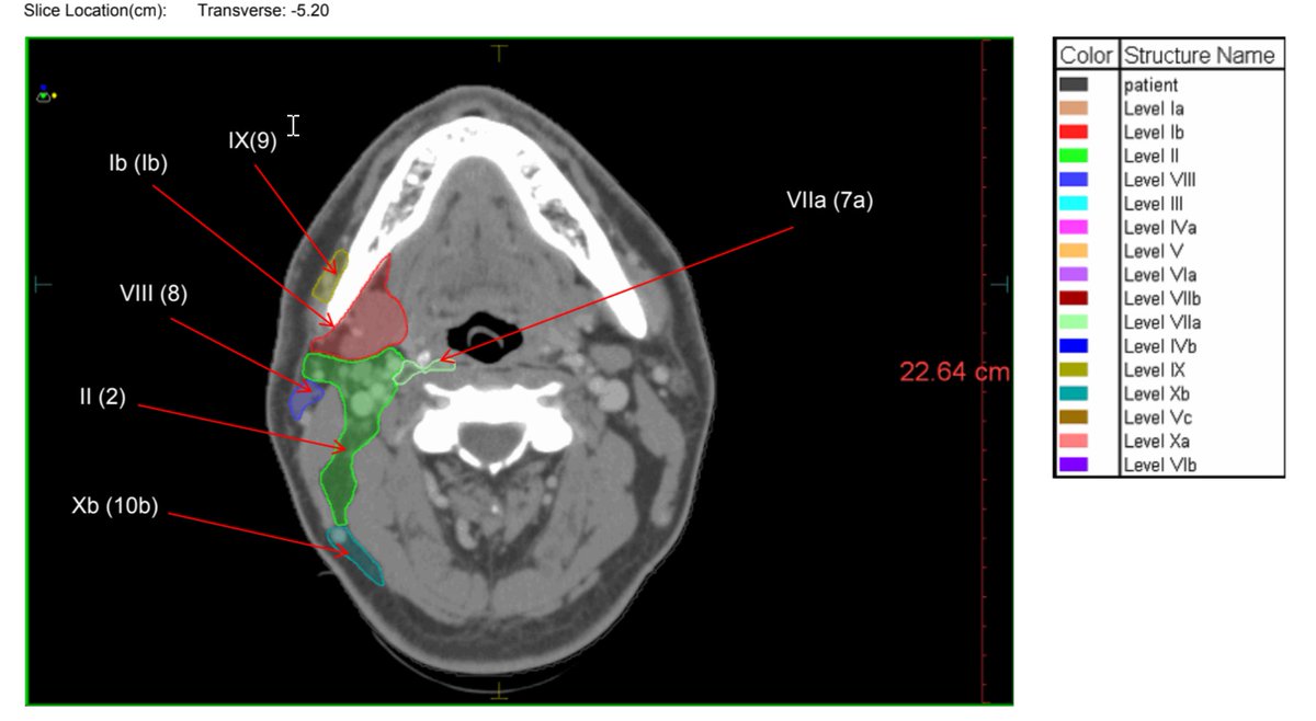Nauman Malik (نعمان) tweet media
