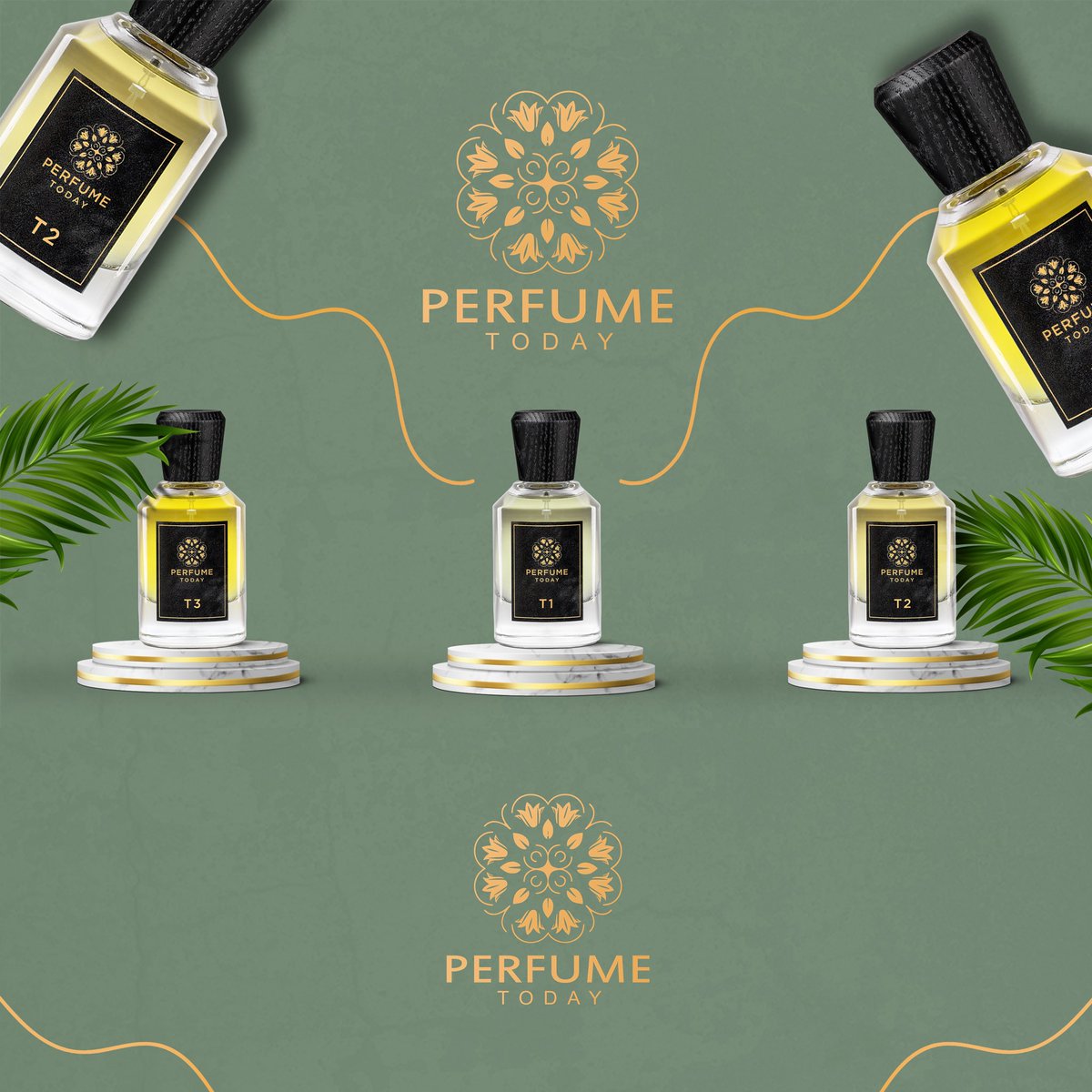 المصور l فهيد بن سالم tweet media