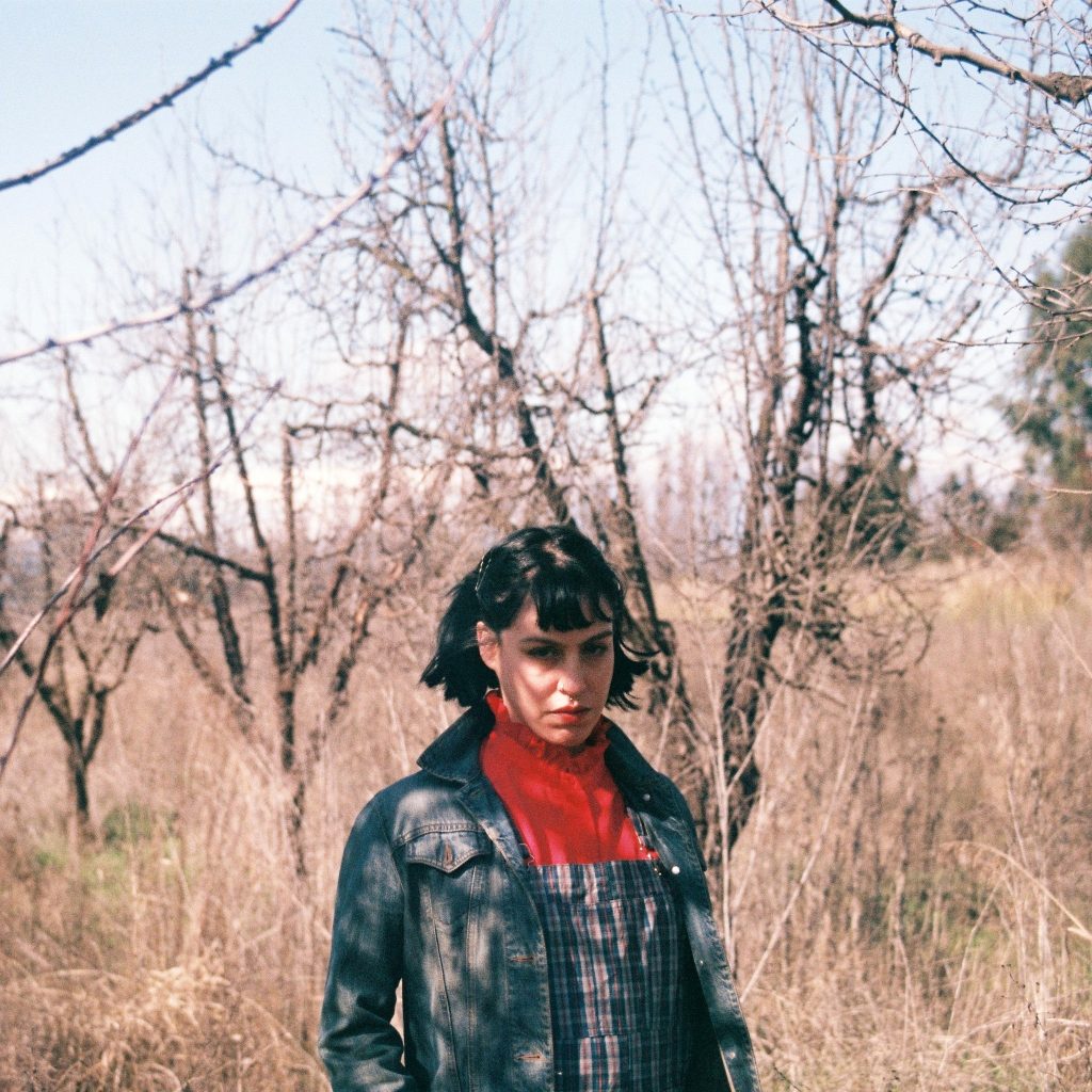 [Crítica] "Una casa con orejas grandes": En epicentro de una catástrofe delirante - cineyliteratura.cl/critica-una-ca… #CineyLiteratura