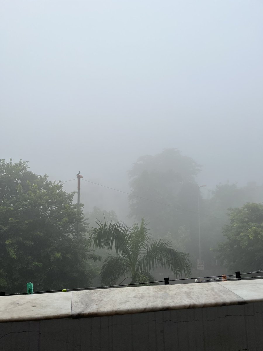SANDEEPANTIL3's tweet photo. “Dilli ki sardi” Delhi today morning https://t.co/NS1bn48Mfg