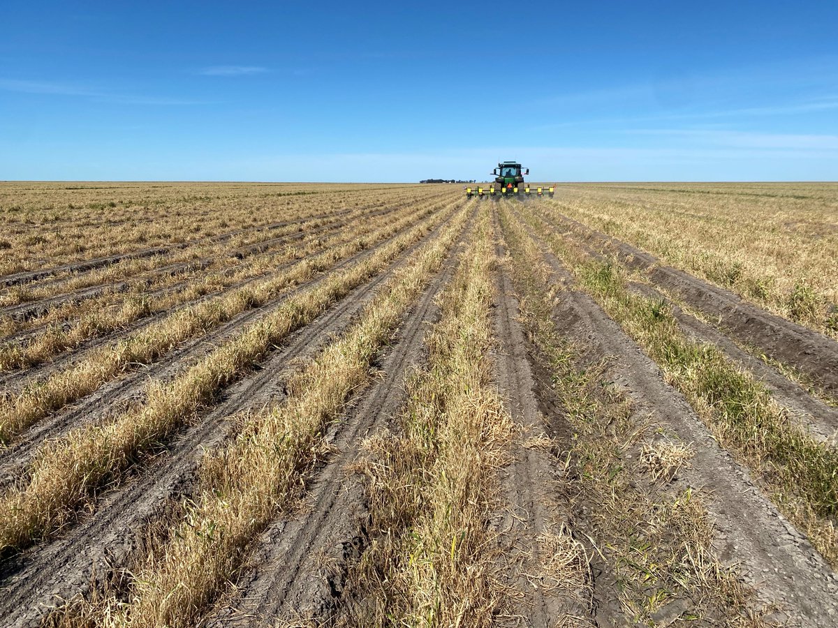 Summit Ag Agricultural Consulting tweet media