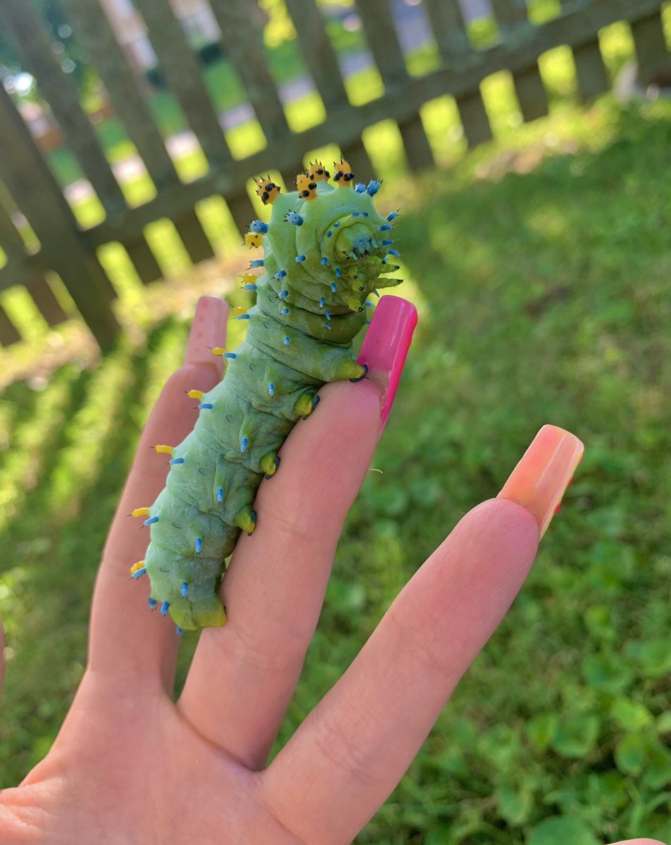 ☆ laney ☆ tweet media