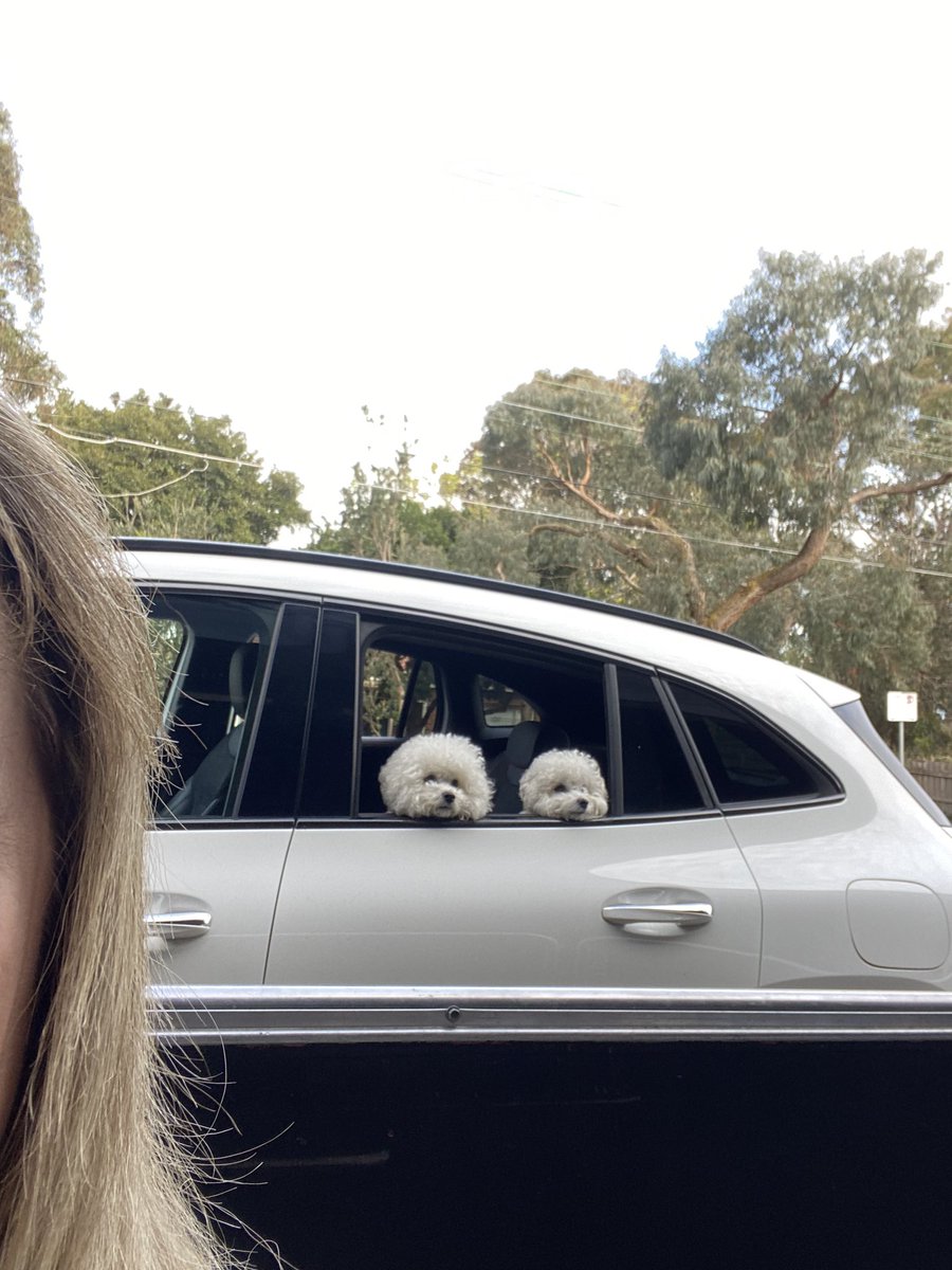 You ever get that feeling you’re being watched? #coffeebreak