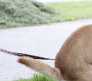 Barstool HHS tweet media