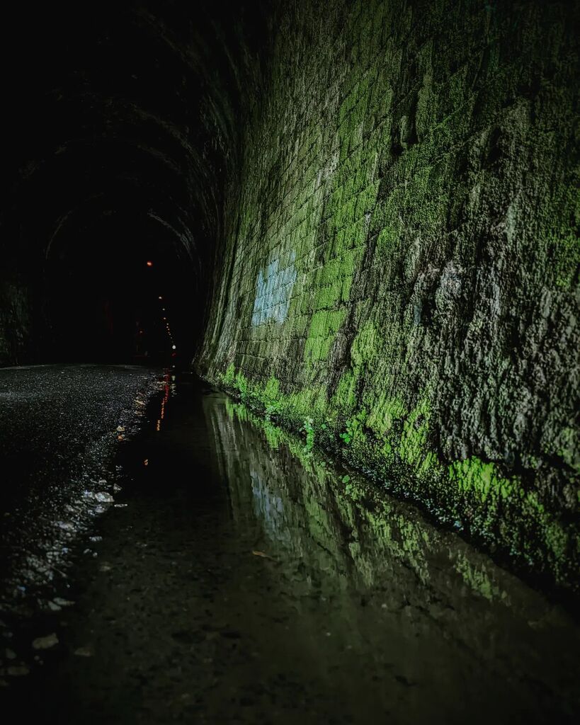 Tunnel Reflections
•
#photographylovers #photography #photooftheday #photographers #photo #pixel6pro #newzealand #aotearoa instagr.am/p/CjmSMX8v0KT/