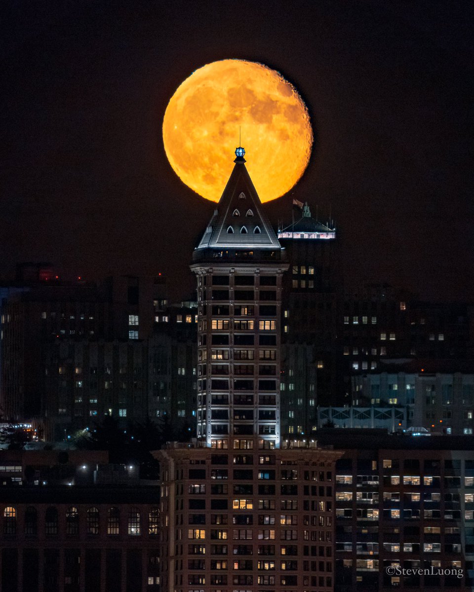 steven_t_luong's tweet photo. Waning Gibbous 94.5% moon rising behind the Smith Tower tonight! One of the oldest skyscrapers in the Emerald City.
Any Smith Tower fans here? 😃 https://t.co/B773c8yOLH