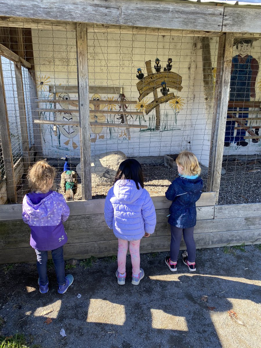 ArmitageKyla's tweet photo. So much fun today on the @AngelsOCSB Kinder field trip with JS1! Brookie had a great time on her first bus ride and field trip! @mme_bourre @Ms_Laflamme_ https://t.co/QBmMbPTSCV