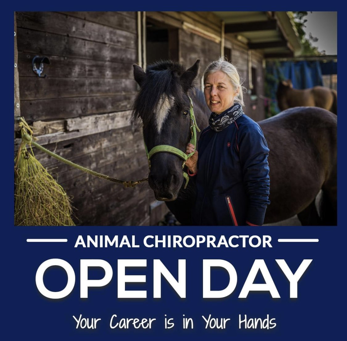 McTimoney_MAA's tweet photo. ANIMAL OPEN DAY: MSc Animal Manipulation Open Day at our College in Abingdon on Thursday 20th October from 10am -  12.30pm to hear all about our Animal MSc &amp; the various entry routes available. 
Pre-booking. 
https://t.co/FZEUcZKcmA for more information &amp; to reserve your place. https://t.co/euVVuD0IQP