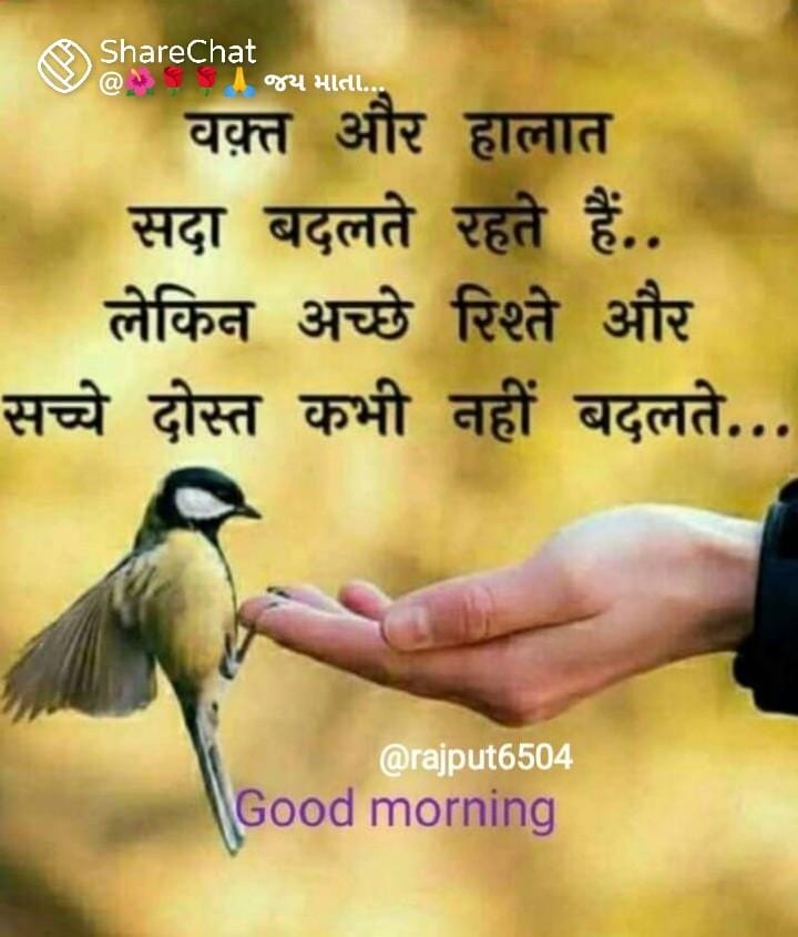 Good morning and have a nice day