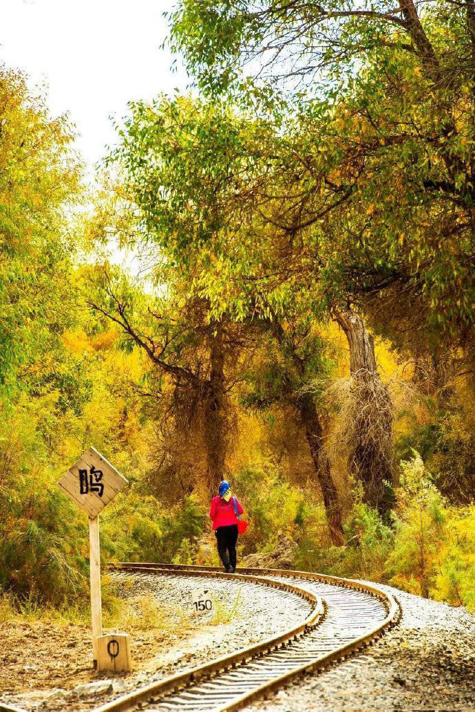 ViVi Tong tweet media