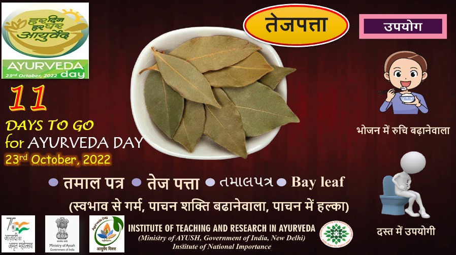 Just 11 days to go for the #AyurvedaDay2022.

In Ayurveda, Tejpata used to reduce AMA toxins in the body and for the problems with the digestive health.

Join us in the grand celebrations.

#Ayush #HarDinHarGharAyurveda #Ayurveda
#moayush