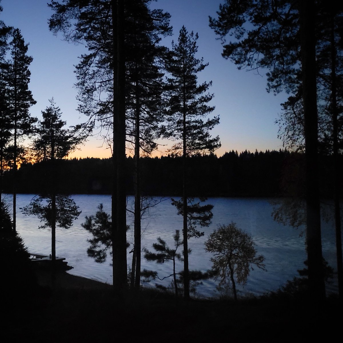 Kylmältä näyttää aamu.
#hyväähuomenta #goodmorning #bonjour  #photo #Finland