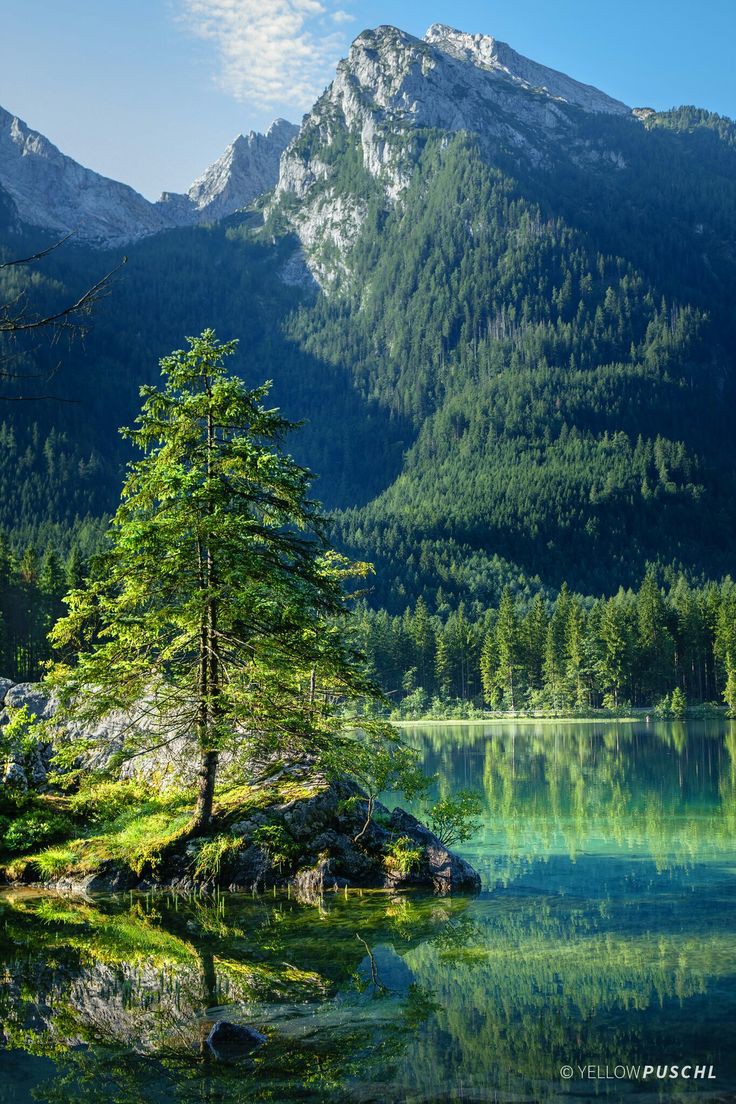 Jennifer💌 tweet media