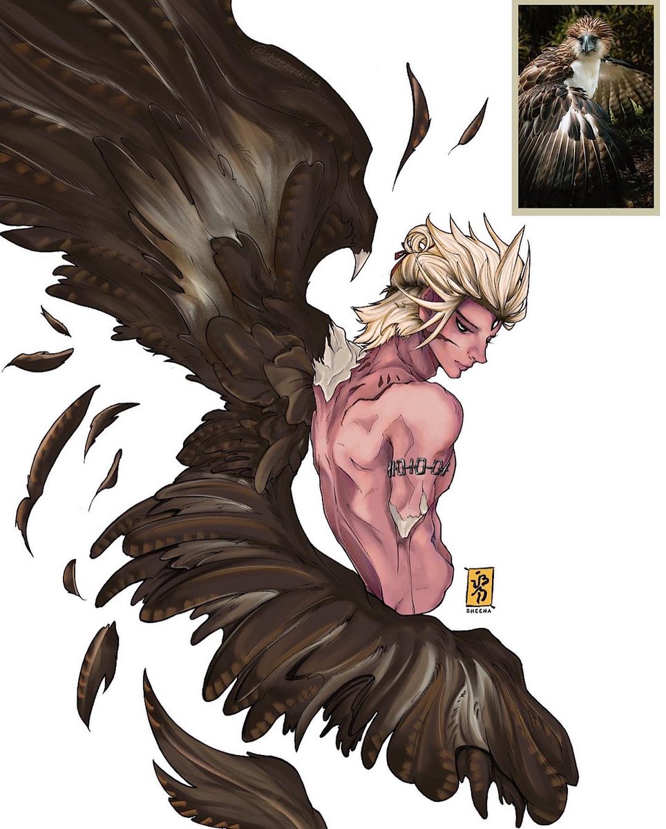 sheenasketch's tweet photo. Inktober Day 11: “Eagle” / picked the Philippine eagle for this one cus of that majestic hair 💁‍♀️ #gijinka #inktober https://t.co/zPrJsnb3j5