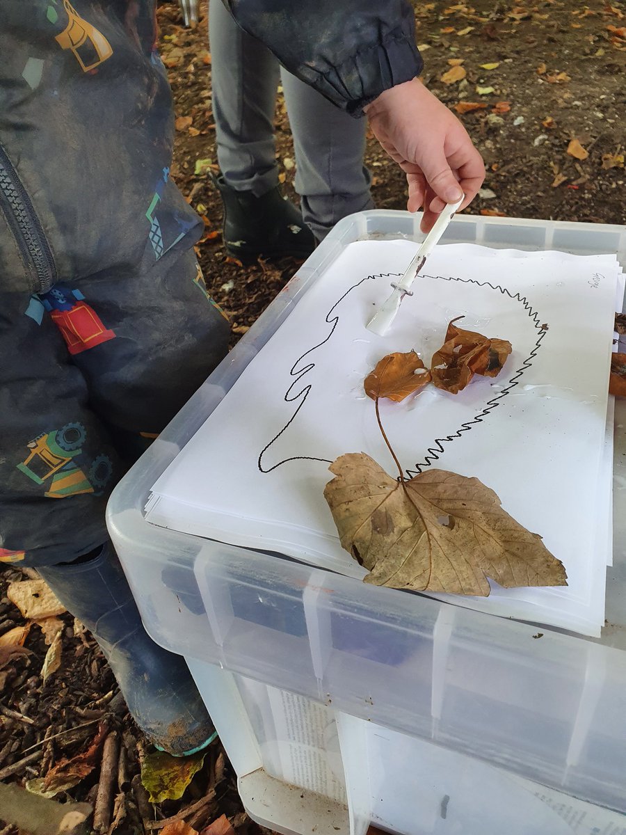 WhyteleafeOL's tweet photo. We love the autumn and have been thinking about hedgehogs and hibernation in nursery. #nurseryforestschool #hedgehogs https://t.co/4l1yYk6Ckg