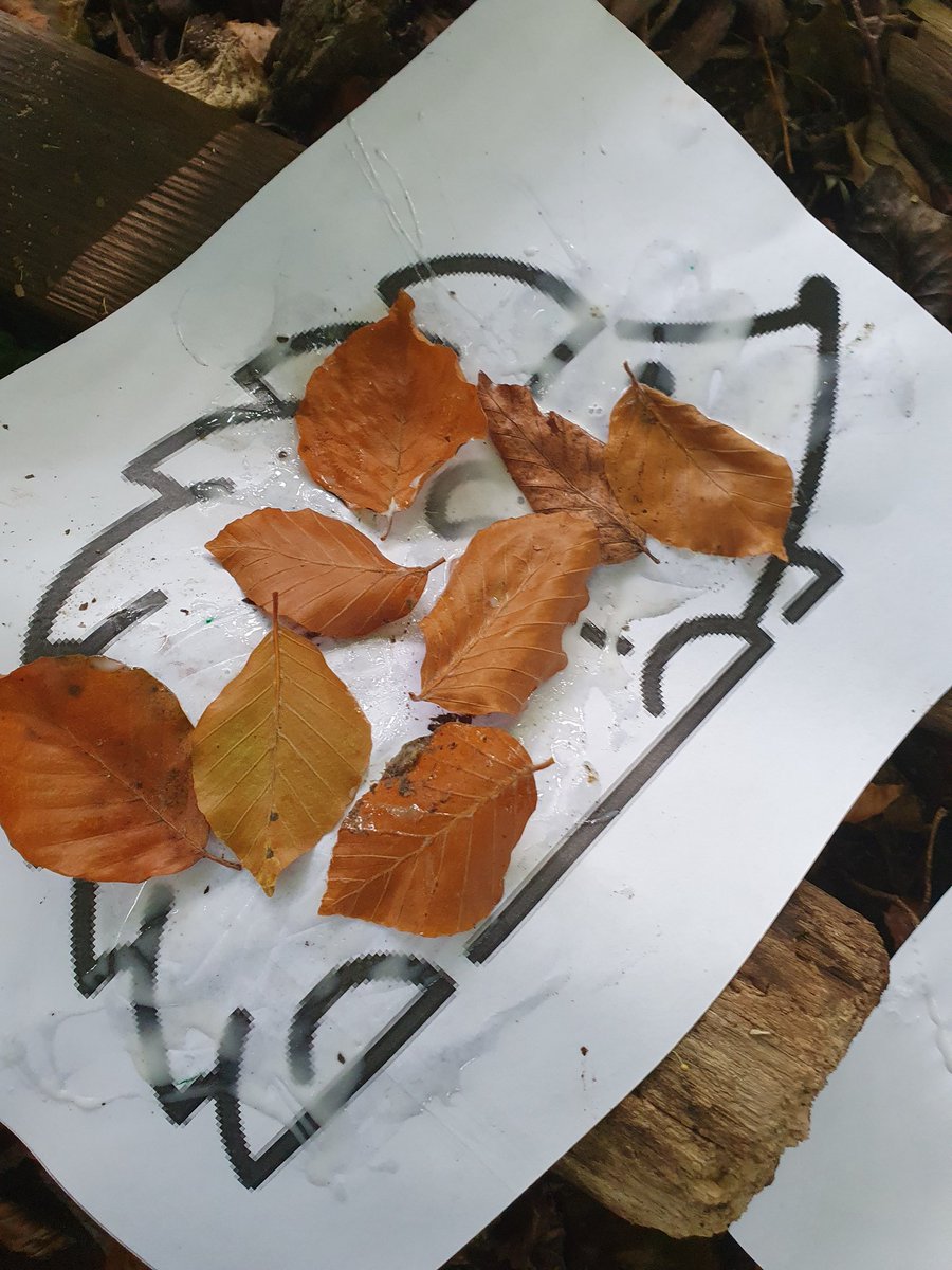 WhyteleafeOL's tweet photo. We love the autumn and have been thinking about hedgehogs and hibernation in nursery. #nurseryforestschool #hedgehogs https://t.co/4l1yYk6Ckg