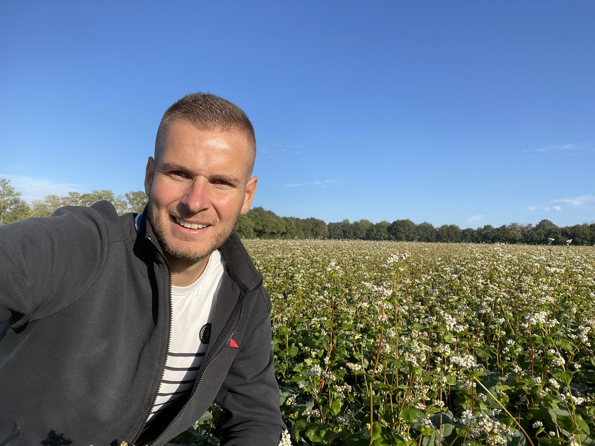 Le blé noir, une culture emblématique de notre Bretagne!Au <a href="/MoisdonNegoce/">Moisdon Negoce</a> le Sarrazin est devenu un partenaire de nos colzas!Aucune intervention chimique et une biodiversité préservée!🇫🇷 <a href="/NegoceAgricole/">Le Négoce Agricole</a> <a href="/agriculteursBzh/">AgriculteursBretagne</a> <a href="/TerrenetFR/">Terre-net.fr</a> <a href="/etaprovost/">Dutemple</a> <a href="/ColzaDifferent/">Colza ≠</a> <a href="/agrodisT/">Agrodistribution</a>