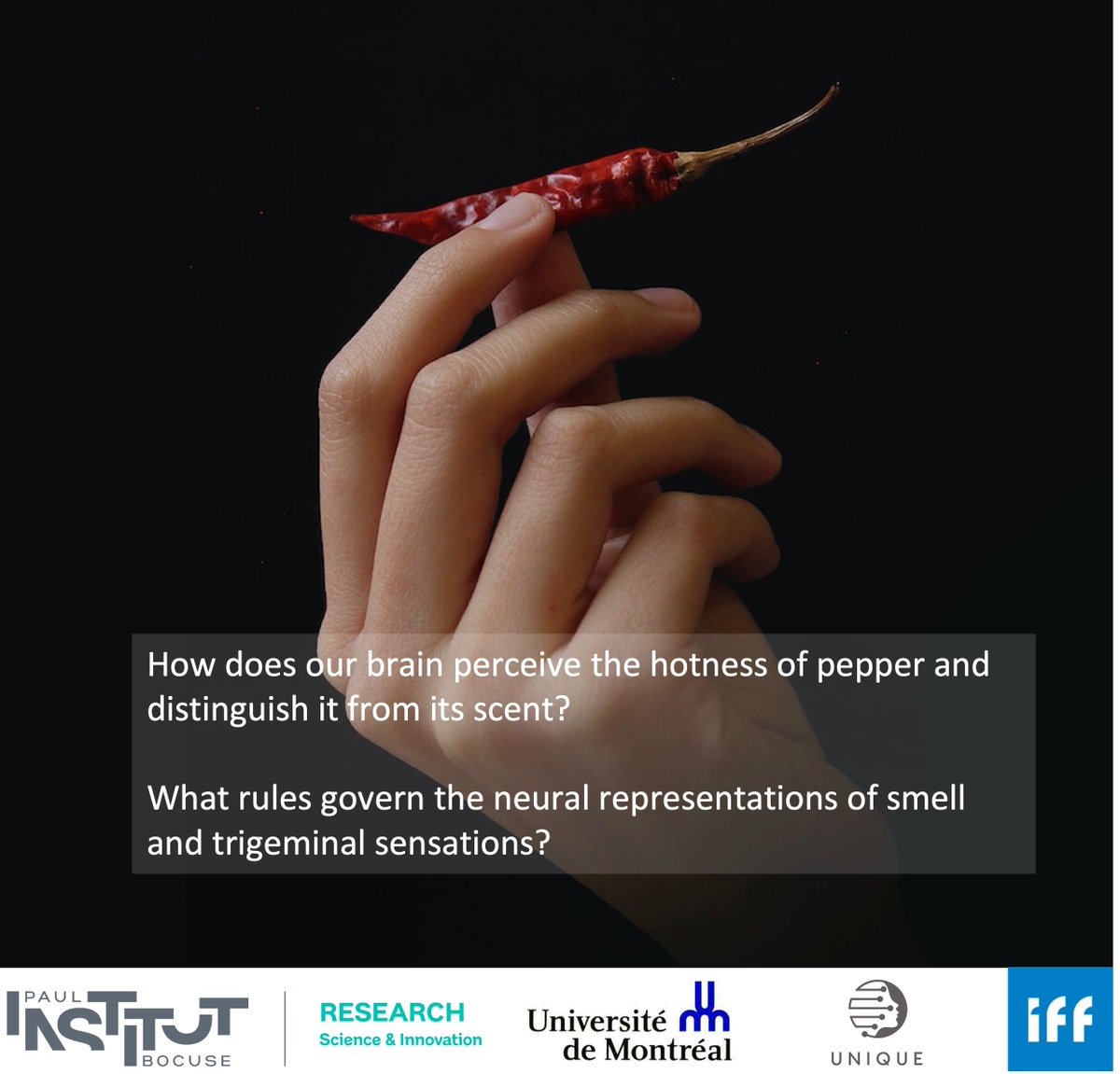 Anne-Lise Saive, PhD (@annelisesaive) on Twitter photo 💥PhD OFFER in Computational Neuroscience💥
🌎Between <a href="/UMontreal/">Université de Montréal</a> and <a href="/IPB_Research/">Institut Paul Bocuse Research Center</a> you'll have the chance to work with a multidisciplinary team including Pr Karim Jerbi (<a href="/karimjerbineuro/">Karim Jerbi</a>) & myself !
In collab with Pr Johannes Frasnelli (<a href="/saxndax/">Johannes Frasnelli</a>) & <a href="/IFF/">IFF</a>
More info 👇👇👇👇 💥PhD OFFER in Computational Neuroscience💥
🌎Between <a href="/UMontreal/">Université de Montréal</a> and <a href="/IPB_Research/">Institut Paul Bocuse Research Center</a> you'll have the chance to work with a multidisciplinary team including Pr Karim Jerbi (<a href="/karimjerbineuro/">Karim Jerbi</a>) & myself !
In collab with Pr Johannes Frasnelli (<a href="/saxndax/">Johannes Frasnelli</a>) & <a href="/IFF/">IFF</a>
More info 👇👇👇👇