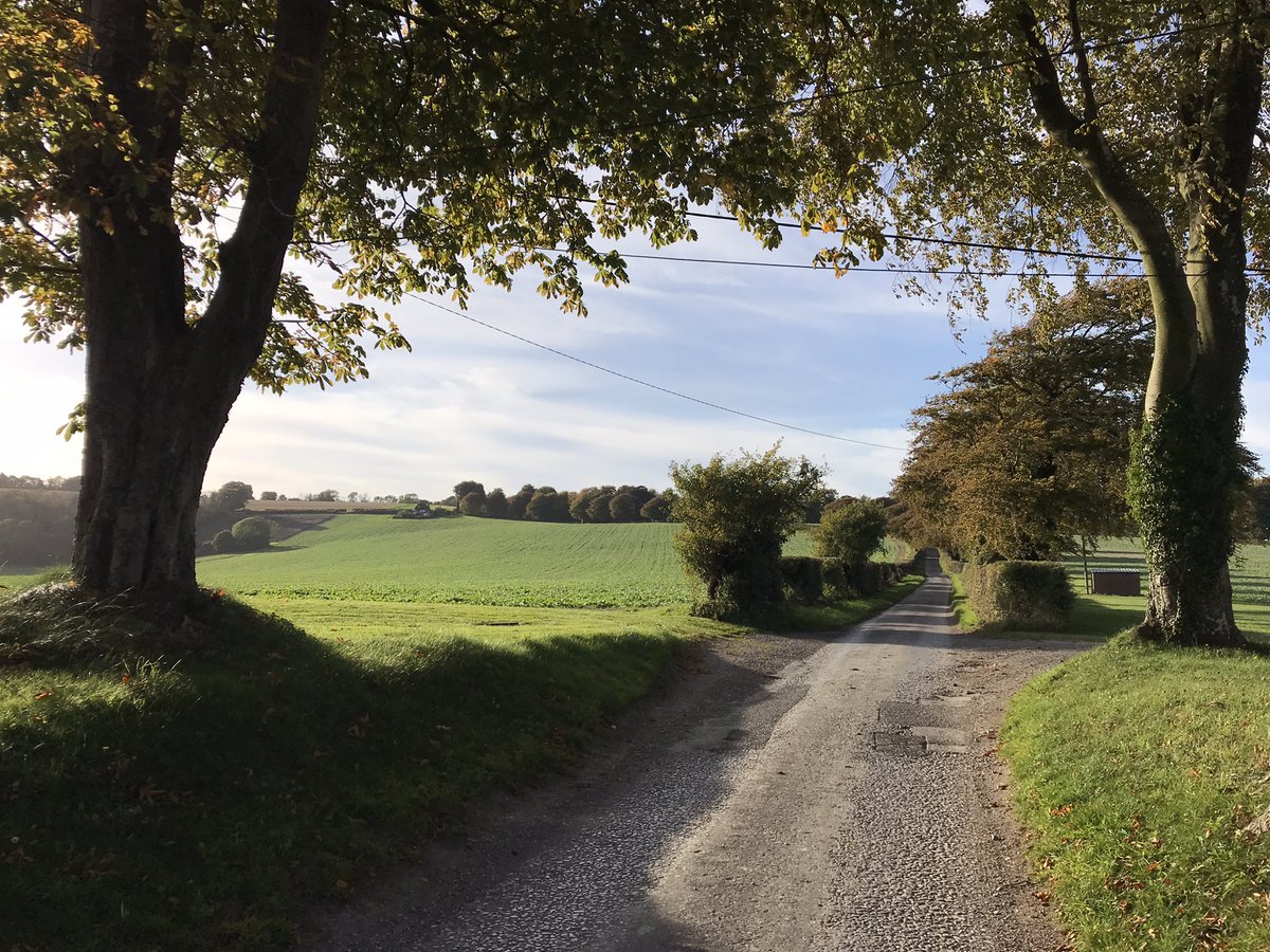 LawrenceKuglin's tweet photo. Did another section of the South Downs Way yesterday. So lovely! @RamblersGB https://t.co/37MJoQQ55c