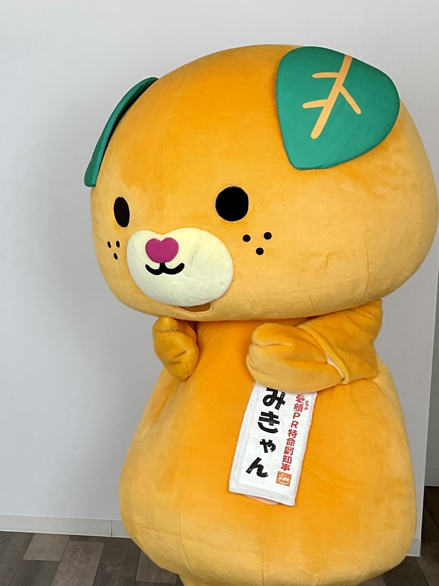 みきゃん 公式 愛媛県イメージアップキャラクター Micanehime Twitter