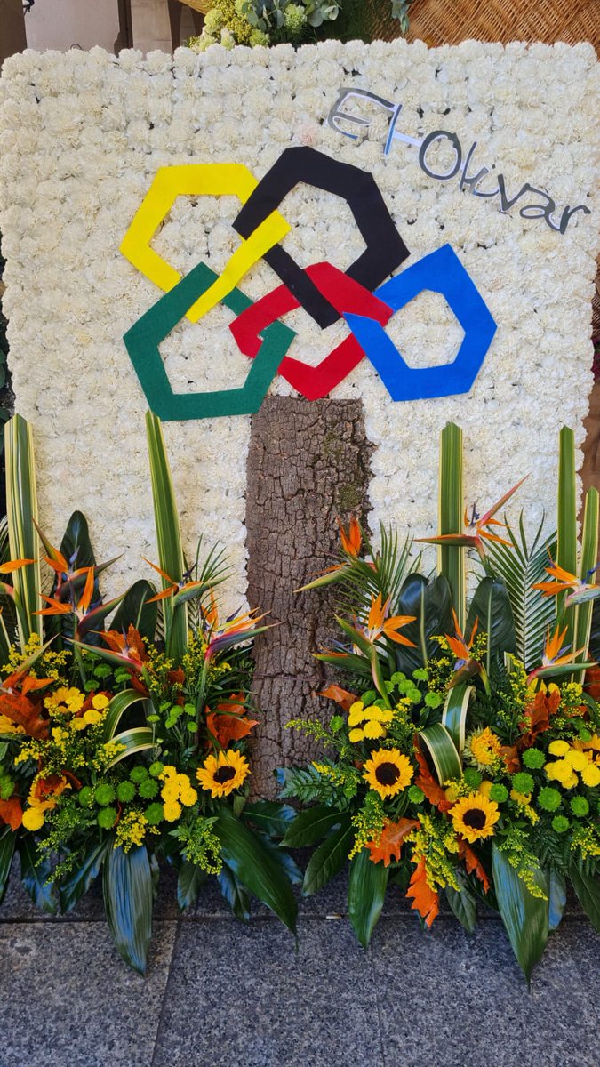 Estadio Miralbueno El Olivar tweet media