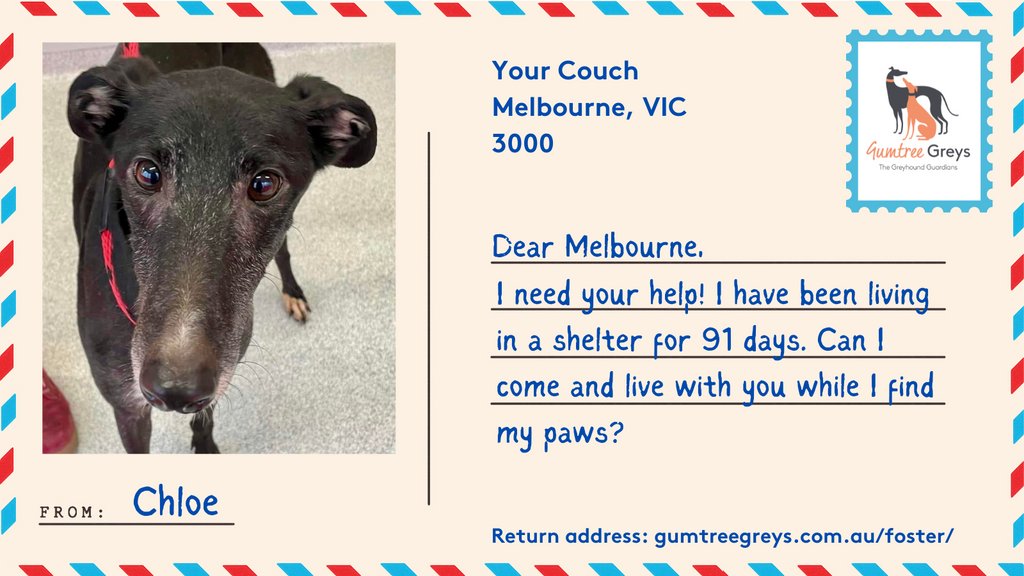 Gumtree Greys tweet media