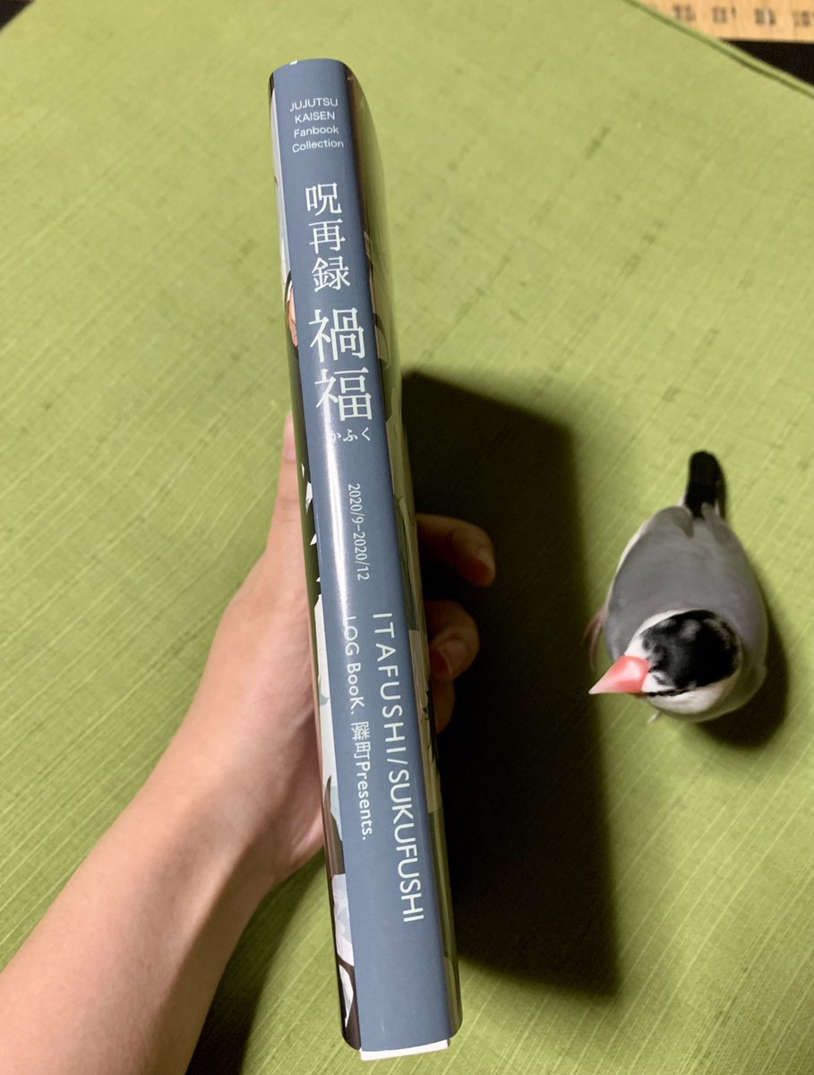 虎伏再録本届きました〜!カバーも中身も綺麗に印刷されてます!やったね!😉
もちろん自立します。比較に文鳥置いときました✌️
通販まだ稼働してるのでどうぞよしなに🙏 