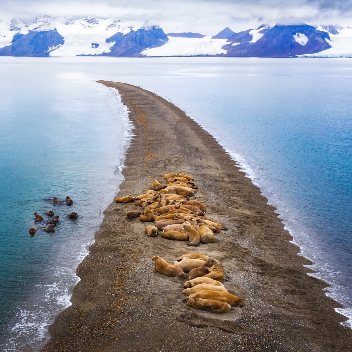 CNTravelerSpain's tweet photo. Y la mejor fotografía de la naturaleza en 2022 es… 💚📸https://t.co/vo2cep7oGJ https://t.co/WwV2rrzzdM