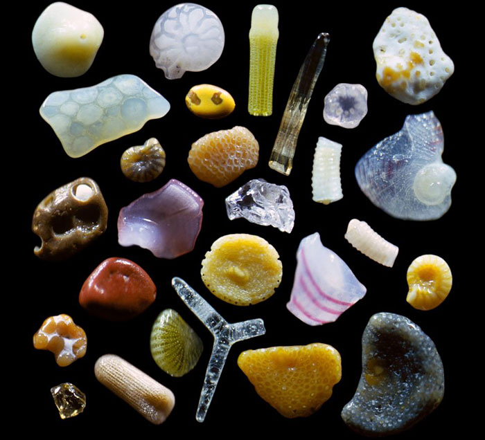 La sabbia in spiaggia è piena di sorprese quando vista al microscopio! Ecco un esempio di quello che potete trovare tra i granelli:
C'è un fotografo che ha selezionato minuziosamente sabbia da tantissime spiagge. qui trovate la galleria
sandgrains.com/Sand-Grains-Ga…