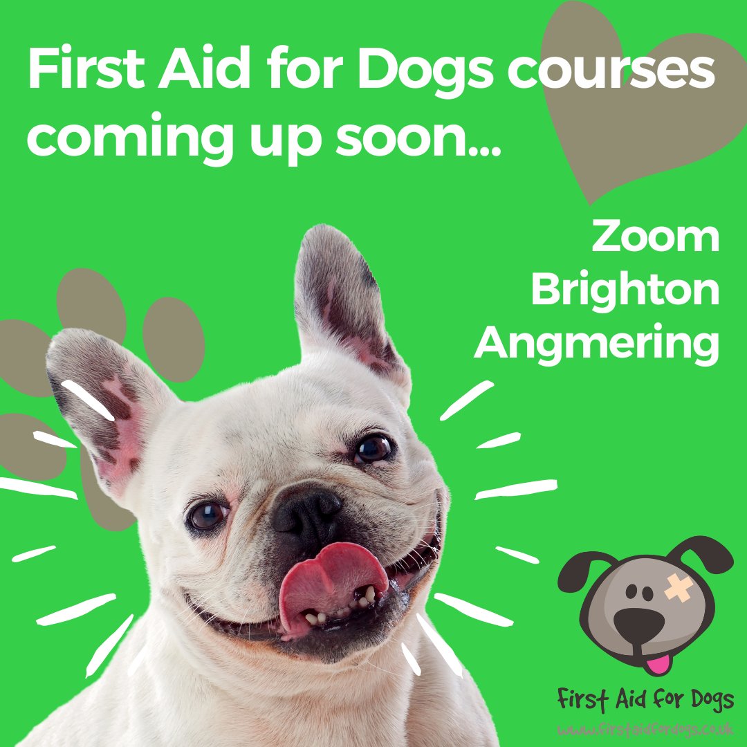 🐶Join us at a First Aid for Dogs course!
💚Choose from Zoom, #Brighton or #Angmering. 

📅Dates coming up:

⚡Tues 1 Nov 7pm - Zoom
⚡Sat 5 Nov 9:30am - Brighton
⚡Sat 12 Nov 9:30am - Angmering
⚡Sat 10 Dec 9:30am - Brighton

😃Find out more &amp; book: firstaidfordogs.co.uk/our-courses/do…
#Hove