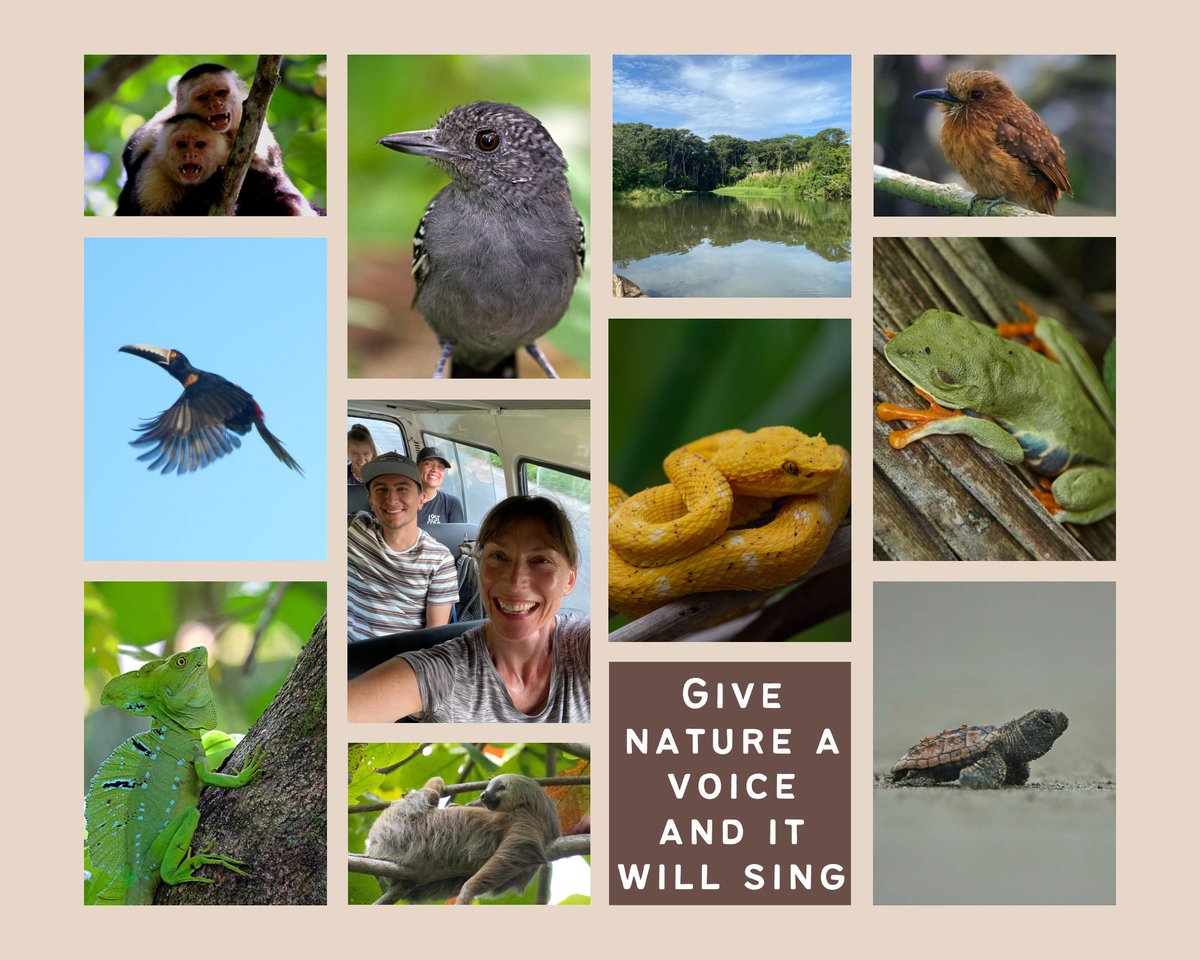 For the past month I've been volunteering on a #wildlife #conservation program in Costa Rica with <a href="/GVIWORLD/">GVI</a> in a Costal Rainforests ecosystems.  The data helps the Government with thier #environmental policy making.  

Here is what I learnt, and whats next: