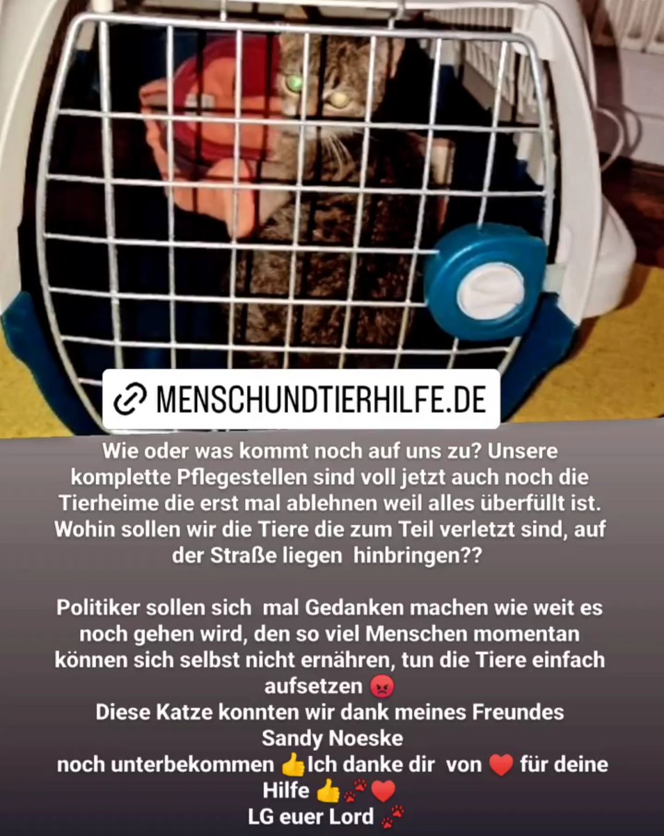 MenschundTierhilfe.de 
facebook.com/groups/Menschu…