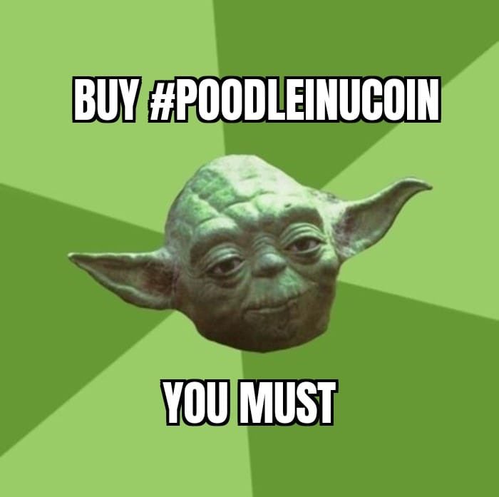 tonfaanthony's tweet photo. @cryptojack #PoodleInuCoin $PIC
Liquidity Locked For 12 years https://t.co/8NjUueb8QZ
