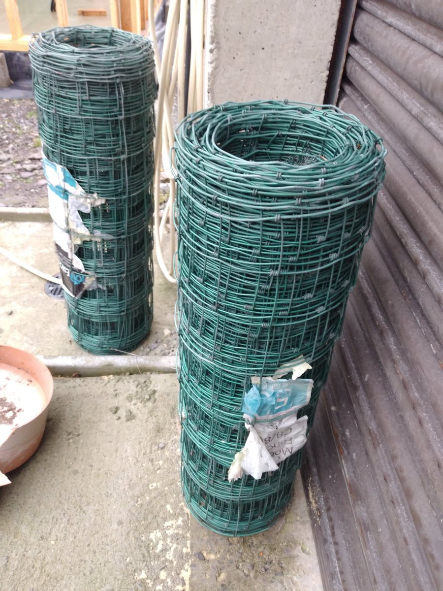 Darragh O'Callaghan tweet media