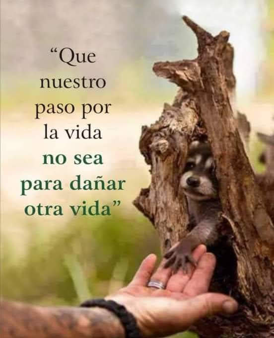 VidaEquilibrad4's tweet photo. https://t.co/V13ILIKqwO