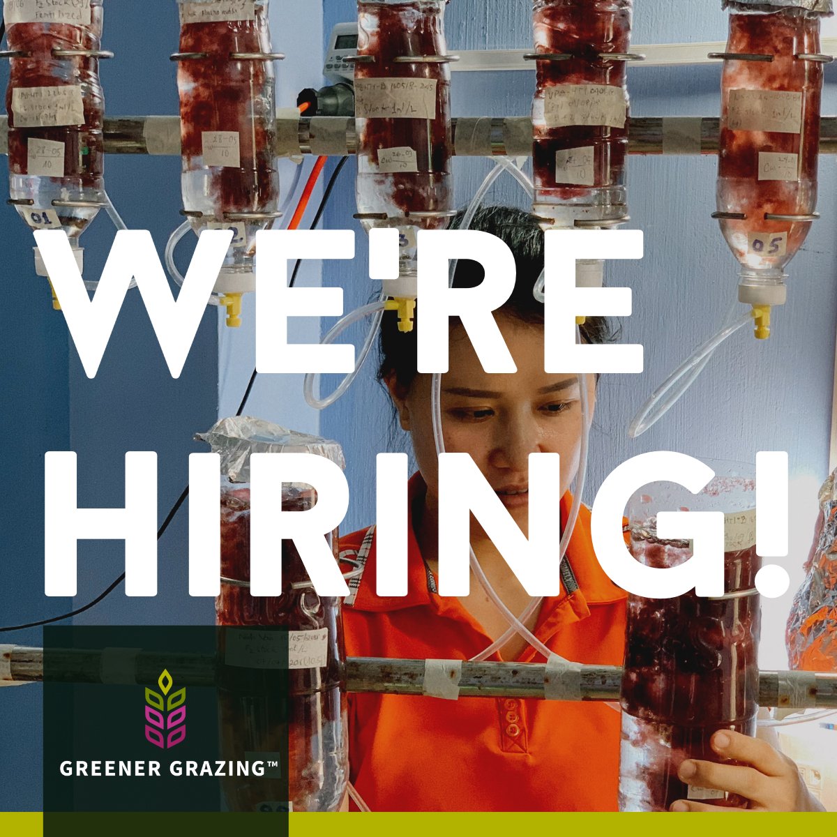 greenergrazing's tweet photo. We're growing! Our team is looking for a Junior Researcher to join us in Vietnam. Learn more: https://t.co/rYTmKsjAuA #aquaculture #climatejobs #seaweed https://t.co/AymorvxslN
