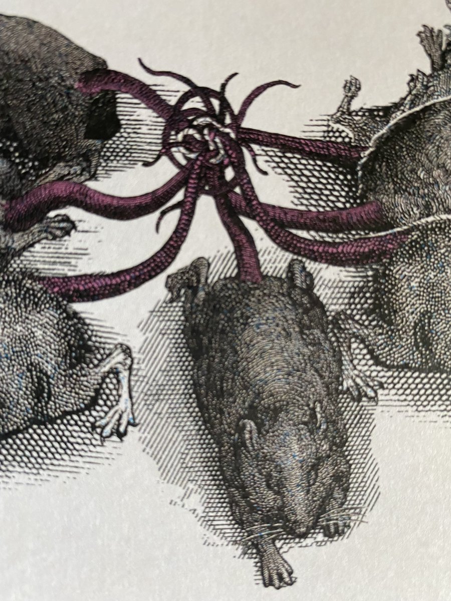 TomAdams2022's tweet photo. Peek into our disturbing past to discover rat kings, spirit photos, plague masks, Waterloo teeth and more.

From instruments of torture to gruesome fashion accessories, precious artefacts to devilish automata, it’s only for those drawn to the grisly and gruesome! https://t.co/97mSXVjrig