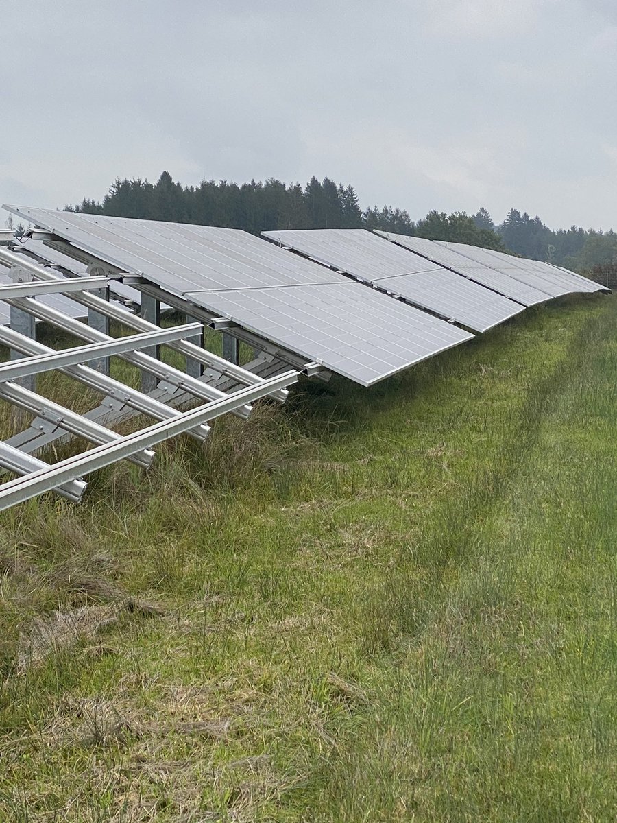 JP Singh tweet media