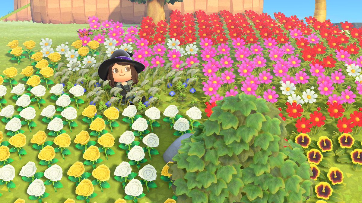 poumacnh's tweet photo. Y'a des chances pour que dimanche j'offre des fleurs et quelques plans, certains seraient intéressés ? 😁🌼🌻 https://t.co/R0uq5n9ipS