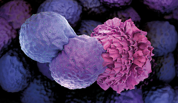 biolution_net's tweet photo. DYK that #biolution has a library of #3Dimages and #animations available to purchase? 
We can also create #customimages to suit your needs. 
Get in touch today!
https://t.co/CYvRNnLSlU

#science #3dvisuals #instascience #smallbusinessonline #creativebusiness https://t.co/C9DeUpfHx3