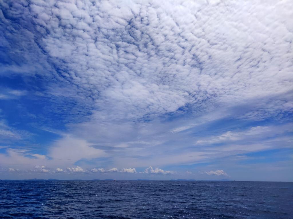 ipsonia tweet picture